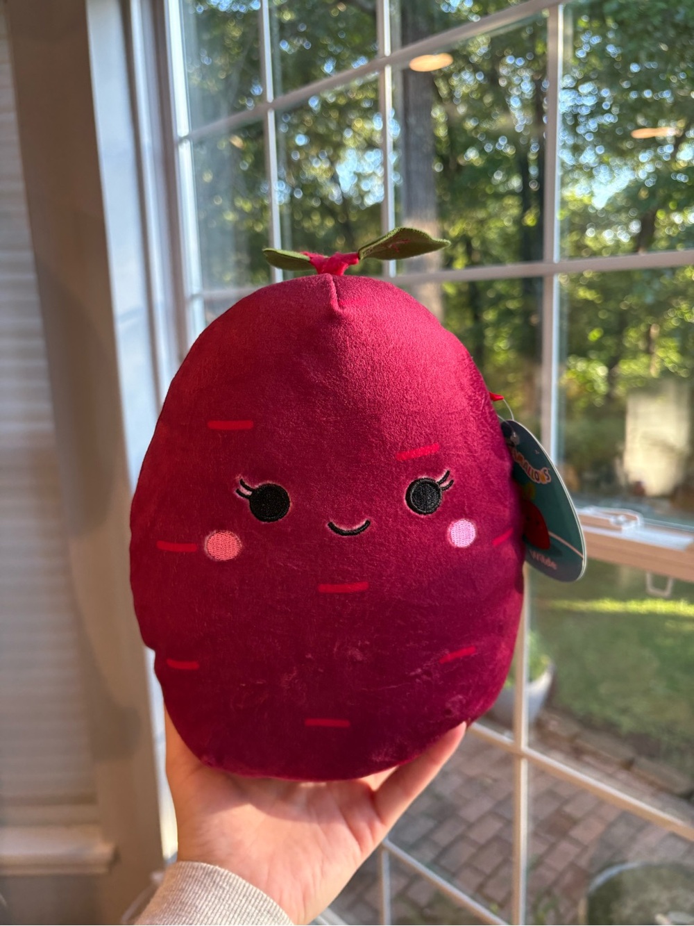 Wilde the red beet squishmallow NWT 8in